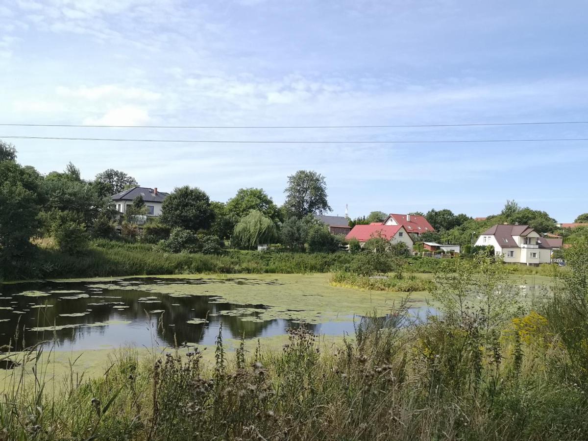 Folwark Goscino-Dwor Bed and Breakfast Eksteriør billede